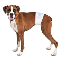 GENERICO - 36 Pañales Para Perros Pañales Para Perro Pañales Gato Xl