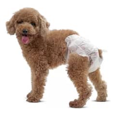 GENERICO - X10 Pañales Para Perros Pañales Para Perro Pañales Gato S