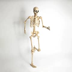 FRANK & MORTIS - Esqueleto Articulado Con Ojos Led Animados 165cm Halloween