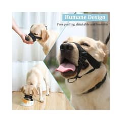 GENERICO - Bozal Adiestramiento Neopreno Acolchado Perros XL