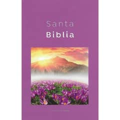 ABBA - Biblia Reina Valera 1960 Misionera Economica Lila
