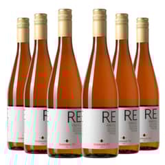 BODEGAS RE - 6 Vinos Pinotel - Rojo