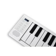 BLACKSTAR - Fp49 Carry-On Piano Plegable