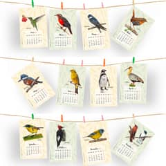 BENDITO - Calendario Aves de Chile 2025