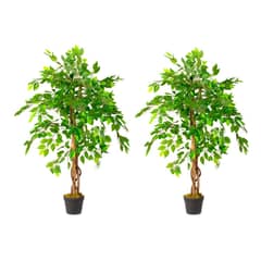 ARBUSTO REAL - 2 X 1 Plantas Artificiales Baratas Ficus 120 Cm