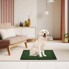 MOVI - Baño para mascotas XL Entrenamiento limpio y sin estrés