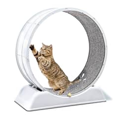 ALPHA - Rueda Para Gato Segura XXL de Entrenamiento