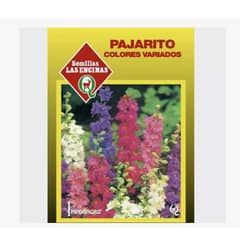 LAS ENCINA - Semillas Certificadas Flor Pajarito Color Variado Ornamental