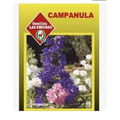 LAS ENCINA - Semillas Certificadas Flor Campanula farolito Huerto