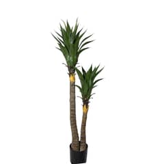 COREL - Árbol de Yuca UV 183 cm