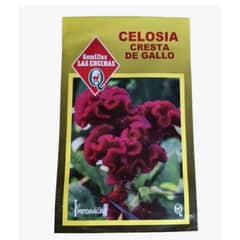 LAS ENCINA - Semillas Certificadas Flor Celosía Cresta De Gallo Roja