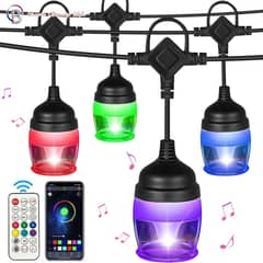 PUREPOWER - Cadena de luces para exteriores - 15 Metros