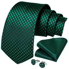 SN SONEC - Corbata verde y negra seda hombre con paño y colleras Reptile