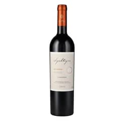APALTAGUA - Vino Envero Gran Reserva Carmenere