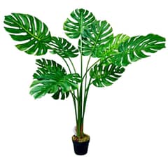 ARBUSTO REAL - Monstera Premium 120 cm. / 10 Hojas