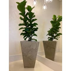 FLORIDIS - MACETERO BEIGE EFECTO MARMOL ZURIQUE 55CM ALTO CON PLATO