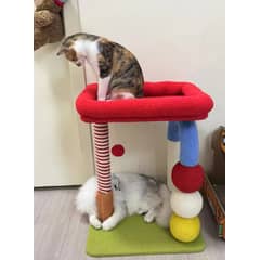 HOMER OUTDOOR - Rascador Para Gatos Cocolumpio Para Gatos De 4 Pisos Rojo