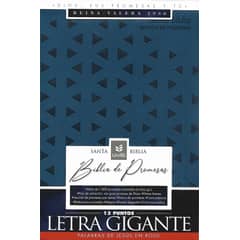BROADMAN & HOLMAN PUBLISHERS - BIBLIA EDICIÓN DE PROMESAS RVR1960 LETRA GIGANTE CON ÍNDICE TAPA PIEL ESPECIAL