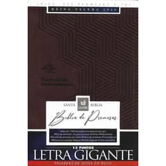GENERICO - BIBLIA EDICIÓN DE PROMESAS RVR1960 LETRA GIGANTE CON ÍNDICE TAPA PIEL ESPECIAL
