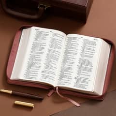 ABBA - Biblia RVR60 045cz PJR 10 pts Tricolor café/negro/café Tamaño Portátil