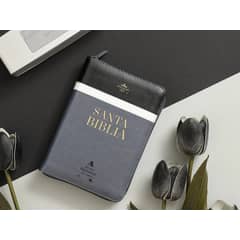 ABBA - Biblia RVR60 045cz PJR 10 pts Tricolor negro/blanco/gris Tamaño Portátil