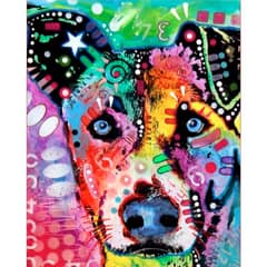 GENERICO - Pintura Por Números Perro Callejero Quiltro 40x50