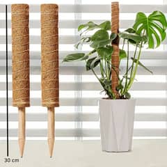 GENERICO - Palo De Coco Para Jardinería, Plantas Y Enredaderas 2 und 30cm