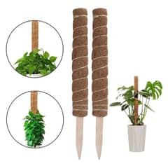 GENERICO - Palo De Coco Para Jardinería, Plantas Y Enredaderas 2 und 40cm