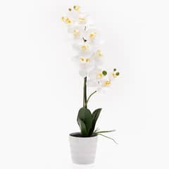 MICA - Orquídea Blanca 51 Cm