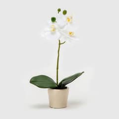 MICA - Flor Orquídea Blanca 33 cm