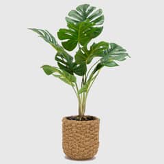 MICA - Monste Pot Cem Ratan 42X13 Cm