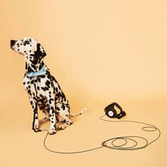 KULCAN - Correa Para Perro Retráctil Con Linterna 5 Metros