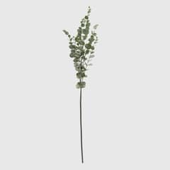 MICA - Varas Y Flores Eucalipto