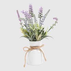 MICA - Planta S Flores C P