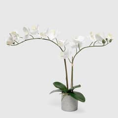 MICA - Adorno Planta Orquidea Blanca