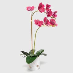 MICA - Adorno Planta Orquidea Rosada