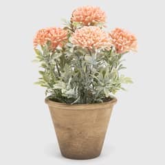 MICA - Plantas S Flores C Pot
