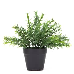 MICA - Planta Pot Plástica Negro 28Cm