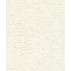 RASCH - Papel Mural Concrete 704327 5 m2