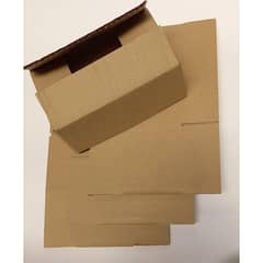 TRISS - Caja envio 18x10x8 cm
