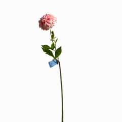FLORACENTER - Dalia spray artificial 45cm rosado