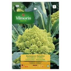 VILMORIN - Semilla de brócoli romanesco