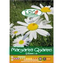 ERGO - Semilla flor margarita