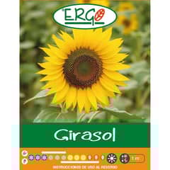 ERGO - Semilla flor Girasol
