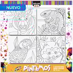 KOLOR - Set 4 Bastidores 15x15 cm