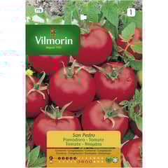 VILMORIN - Semilla tomate san Pedro 1 gr sachet