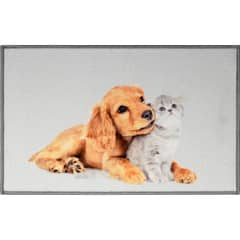 CASA BONITA - Limpiapiés Perro Gato 50x80 cm Multicolor