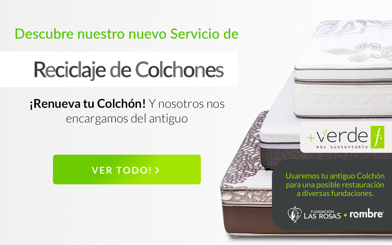 Conoce todos los servicios