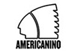 Americanino